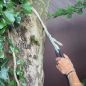 Preview: Hängematten Seil am Baum